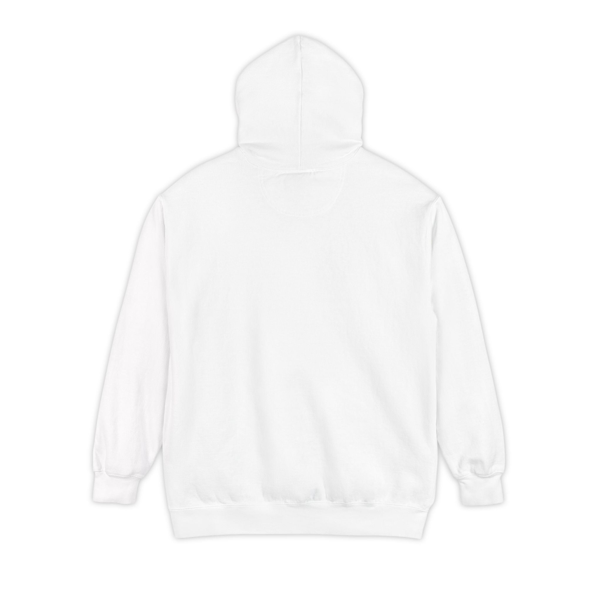 Choose Jesus Hoodie (Light) - Choosify